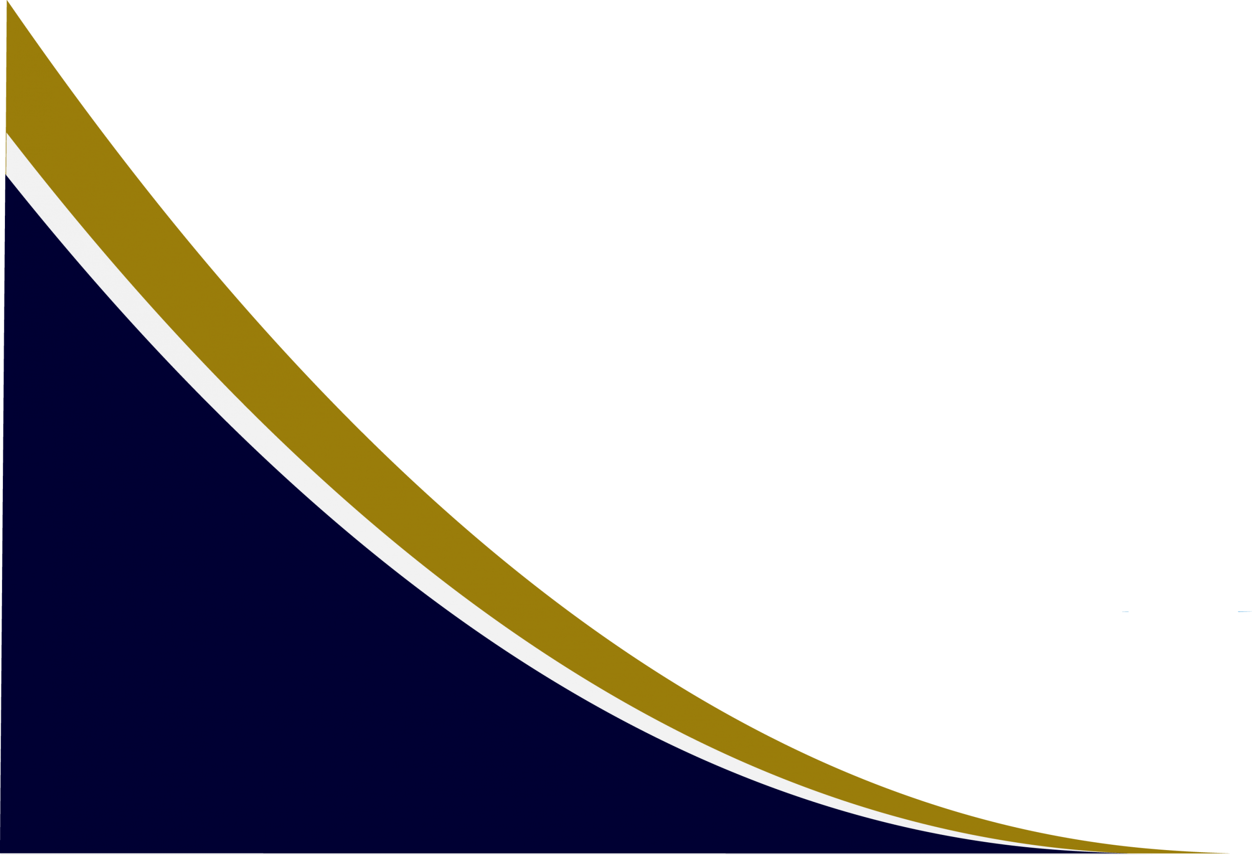 Escudo2